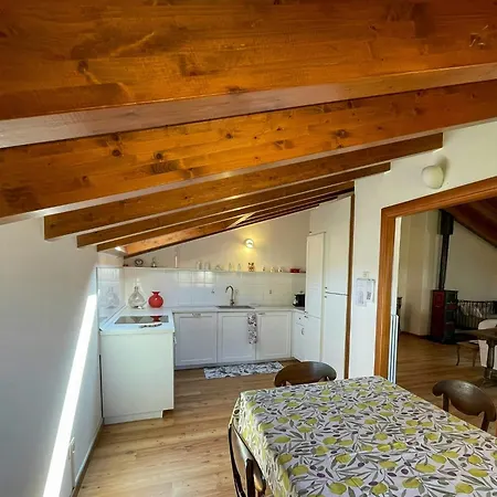 Attic With Panoramic View Of Appartement *