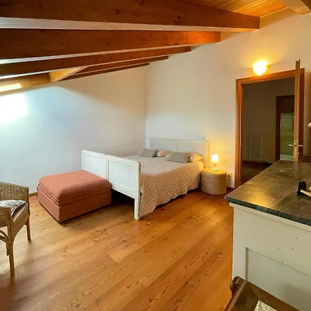 Attic With Panoramic View Of Appartement *